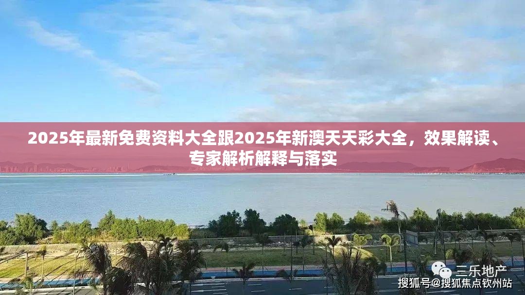2025年最新免费资料大全跟2025年新澳天天彩大全，效果解读、专家解析解释与落实