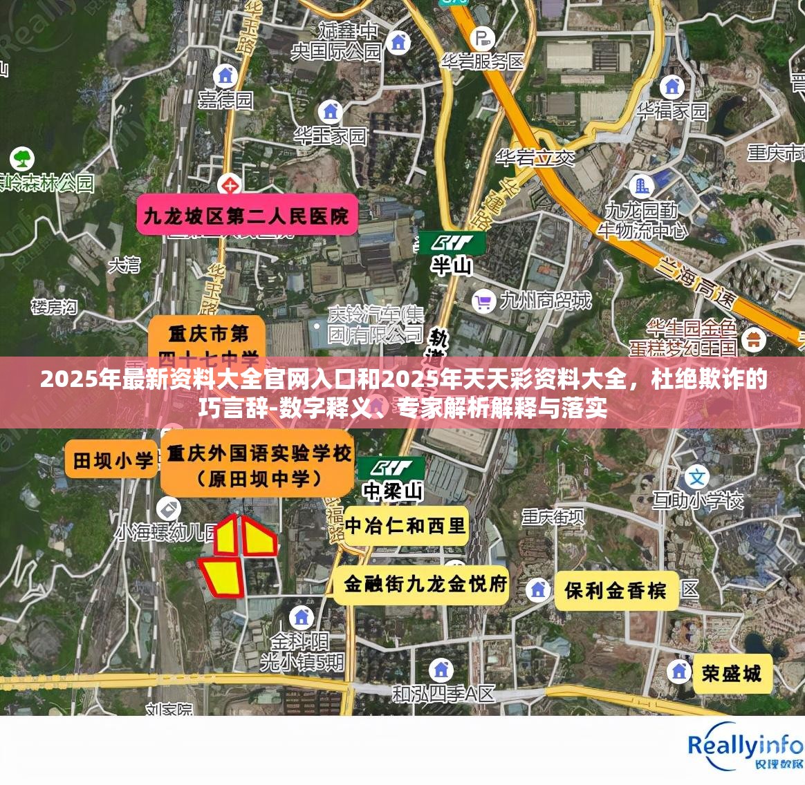 2025年最新资料大全官网入口和2025年天天彩资料大全，杜绝欺诈的巧言辞-数字释义、专家解析解释与落实