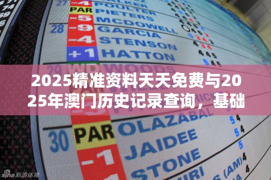 2025精准资料天天免费与2025年澳门历史记录查询，基础释义、专家解析解释与落实?杜绝虚假诱导词