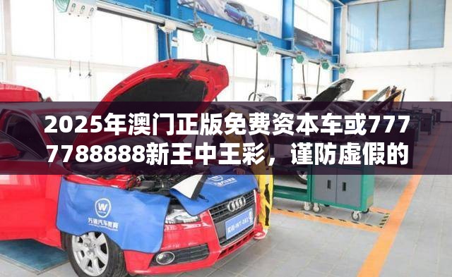 2025年澳门正版免费资本车或7777788888新王中王彩，谨防虚假的障眼法,条理释义、解释与落实
