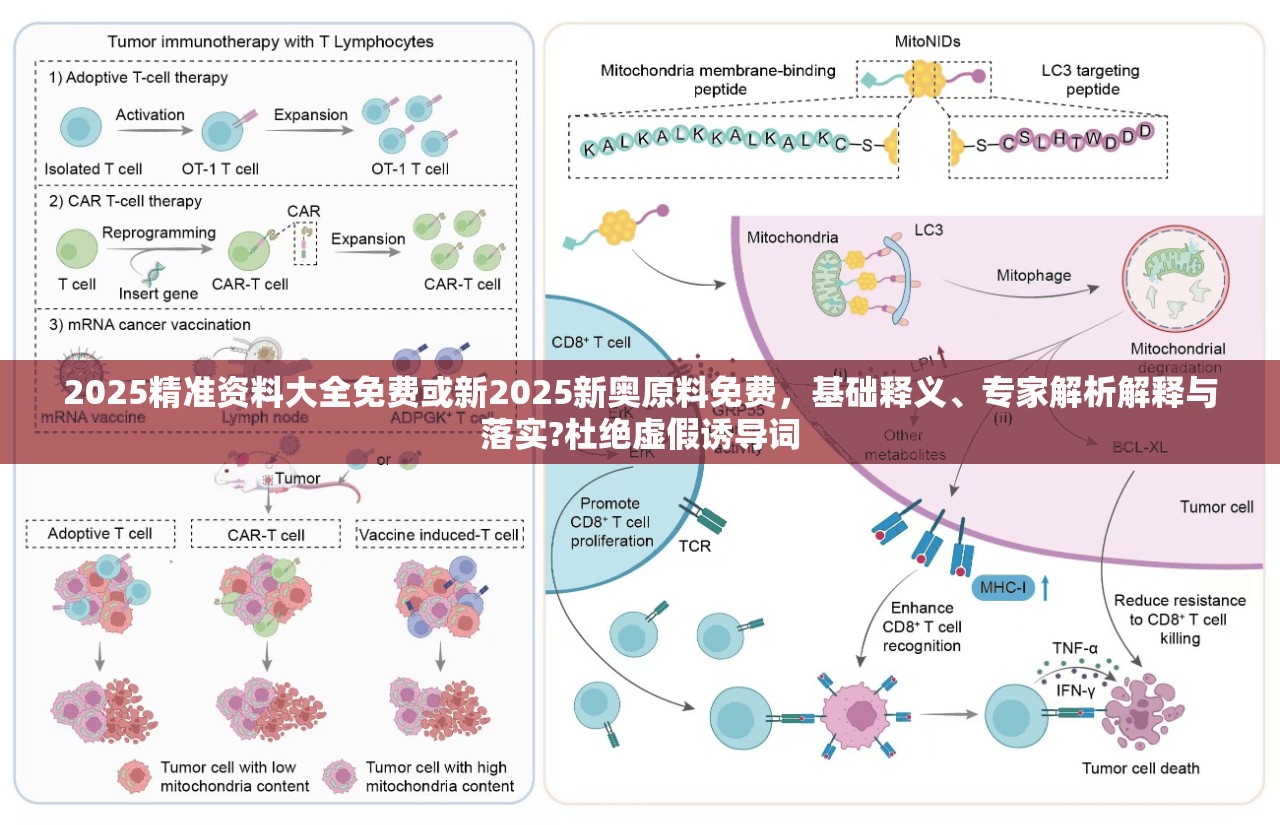 2025精准资料大全免费或新2025新奥原料免费，基础释义、专家解析解释与落实?杜绝虚假诱导词