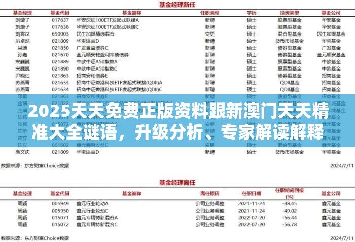 2025天天免费正版资料跟新澳门天天精准大全谜语，升级分析、专家解读解释与落实,谨防华而不实包装