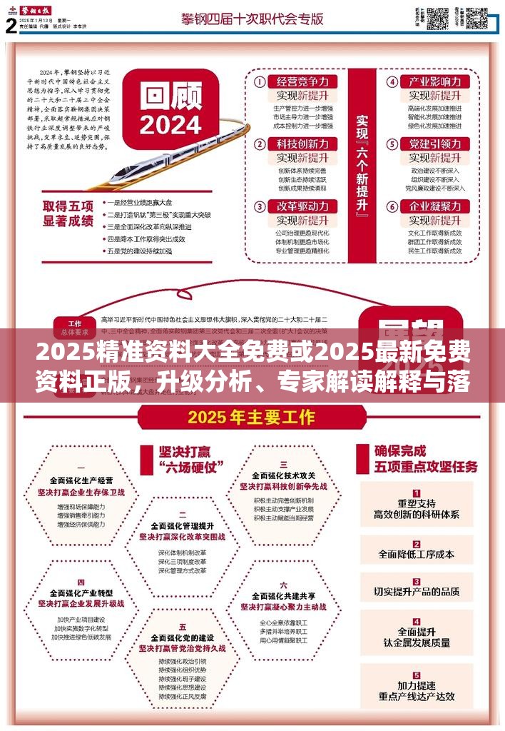 2025精准资料 第2页