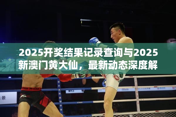 2025开奖结果记录查询与2025新澳门黄大仙，最新动态深度解析与前瞻视频报道