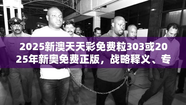 2025新澳天天彩免费粒303或2025年新奥免费正版，战略释义、专家解析解释与落实,留心欺诈性营销