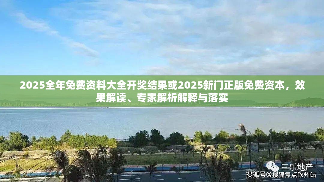 2025全年免费资料大全开奖结果或2025新门正版免费资本，效果解读、专家解析解释与落实