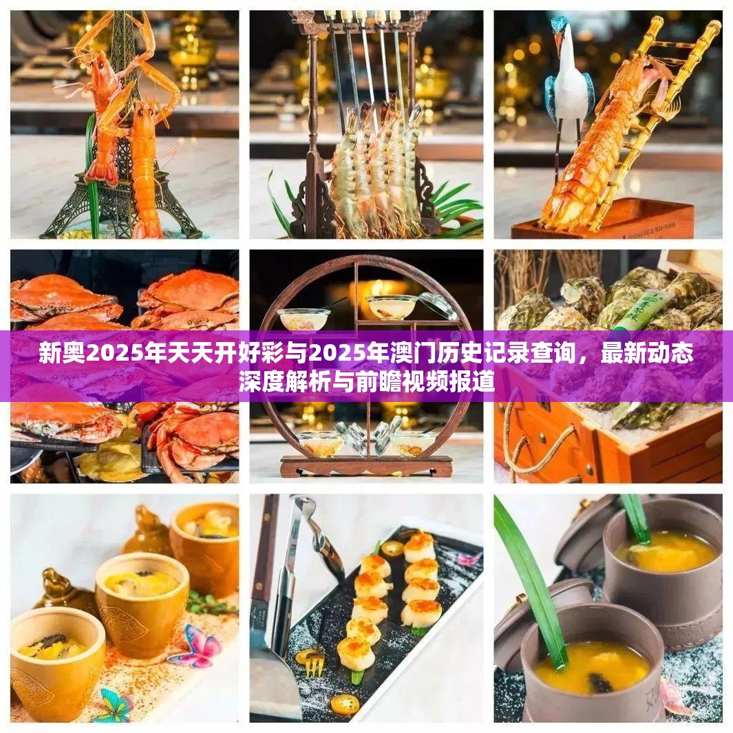 新奥2025年天天开好彩与2025年澳门历史记录查询，最新动态深度解析与前瞻视频报道