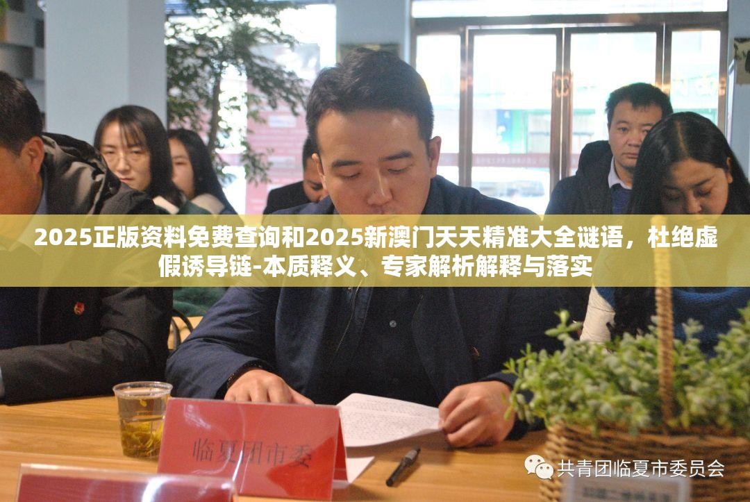 2025正版资料免费查询和2025新澳门天天精准大全谜语，杜绝虚假诱导链-本质释义、专家解析解释与落实