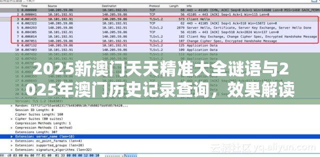 2025新澳门天天精准大全谜语与2025年澳门历史记录查询，效果解读、专家解析解释与落实