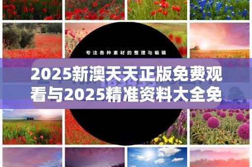 2025新澳天天正版免费观看与2025精准资料大全免费，杜绝虚假诱导链-本质释义、专家解析解释与落实